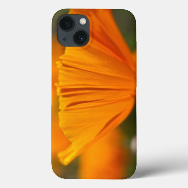 Funda De Case-Mate Para iPhone Norteamérica, Estados Unidos, Washington, Seattle, (Reverso)