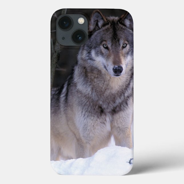 Funda De Case-Mate Para iPhone North America, Canada, Eastern Canada, Grey wolf (Reverso)