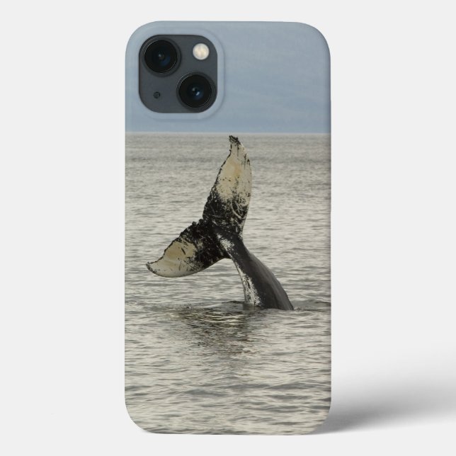 Funda De Case-Mate Para iPhone North America, USA, AK, Inside Passage. Humpback (Reverso)