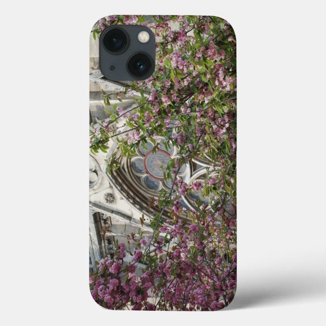 Funda De Case-Mate Para iPhone Notre Dame (Reverso)