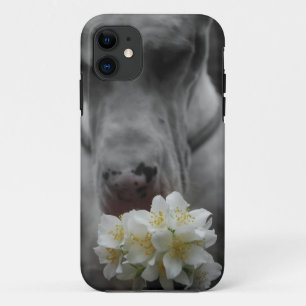 iPhone 11 Nueva funda personalizada para smartphone