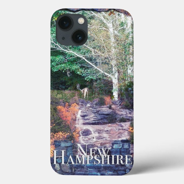 Funda De Case-Mate Para iPhone Nuevo Hampshire fotográfico (Reverso)