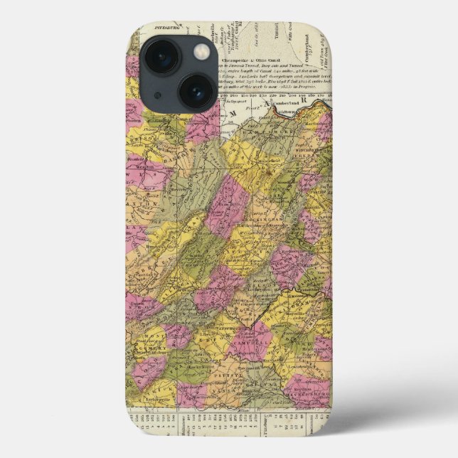 Funda De Case-Mate Para iPhone Nuevo mapa de Virginia (Reverso)