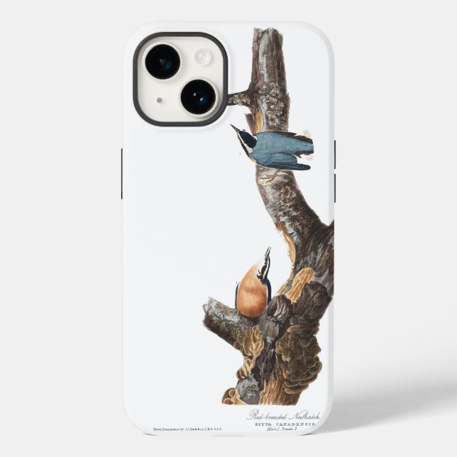 Funda De Case-Mate Para iPhone Nuthatch de Audobon (Reverso )