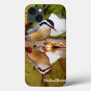 Funda Para iPhone 13 Nuthatch de pecho rojo