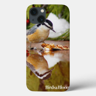 Funda Para iPhone 13 Nuthatch de pecho rojo