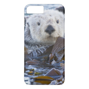 Funda Para iPhone 8 Plus/7 Plus Nutria de mar envuelta en corégono