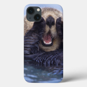Funda Para iPhone 13 Nutria de mar linda el   Alaska, los E.E.U.U.