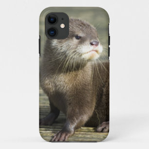 Funda Para iPhone 11 Nutria linda del bebé