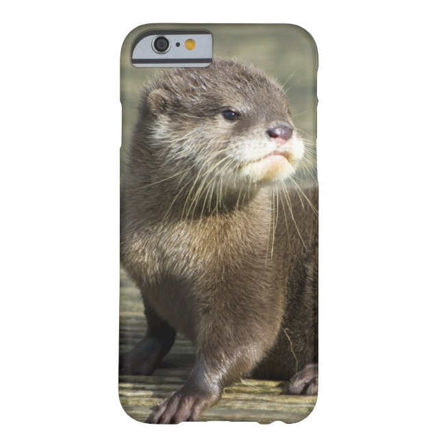 Funda De Case-Mate Para iPhone Nutria linda del bebé (Reverso)
