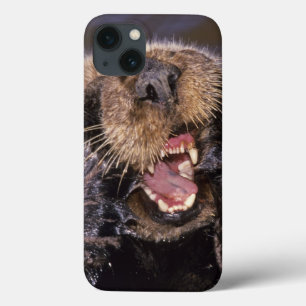 Funda Para iPhone 13 Nutrias marinas, Enhydra lutris 6