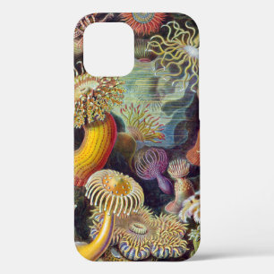 Funda Para iPhone 12 Océano marino Anemone Científico