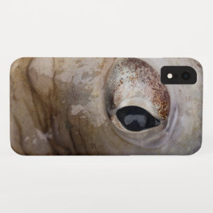 Funda Para iPhone XR Octopus Eye