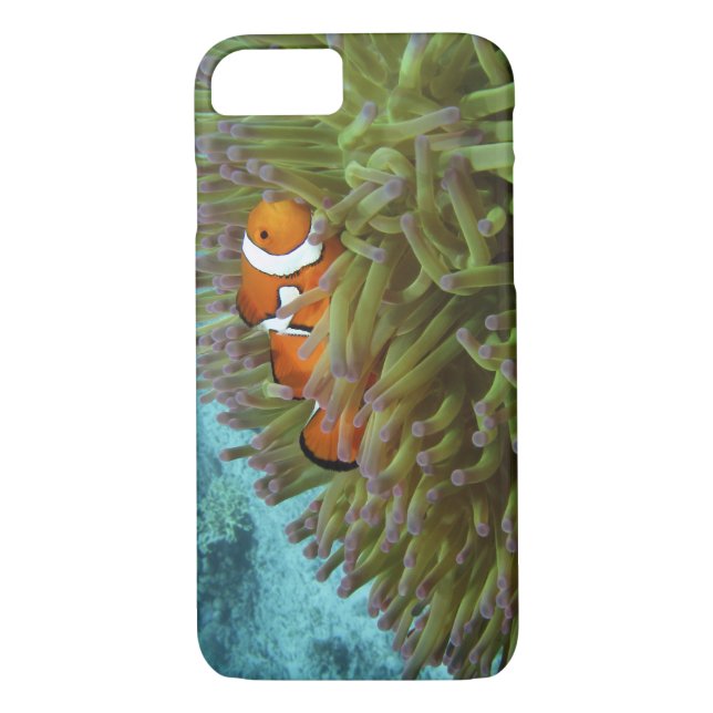 Funda De Case-Mate Para iPhone Oeste Clownfish ( Anphiprion ocellaris ) (Reverso)