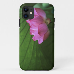 title_seo2 Ohga Lotus, Sankei-en Garden, Yokohama, Japón