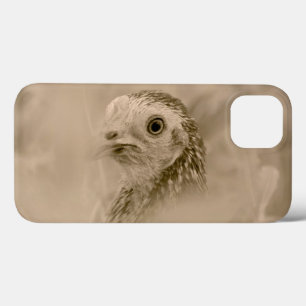 Funda Para iPhone 13 Ojo de pájaro