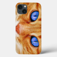 Ojos de Gato Ojos de Gato Cara Caballa Tigre Gato 