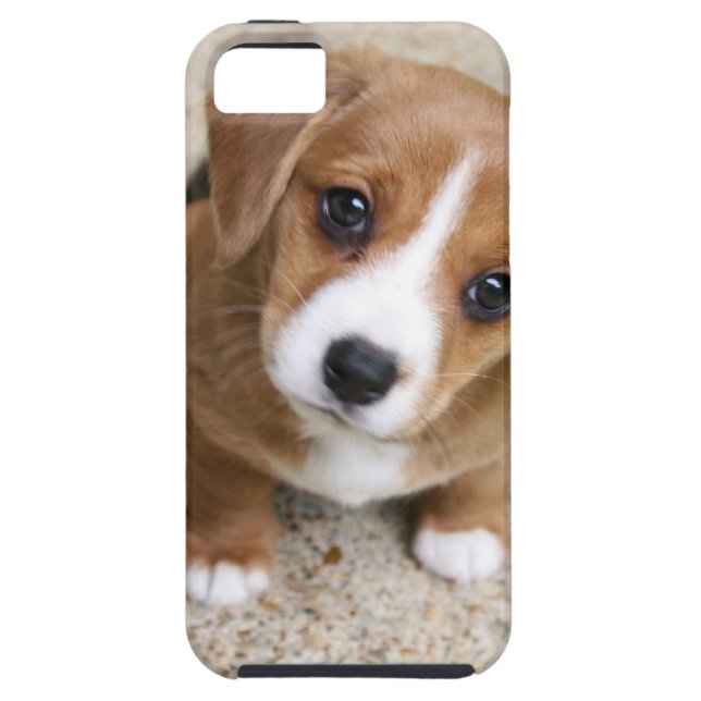 Funda De Case-Mate Para iPhone Ojos del perro de perrito (Atrás)
