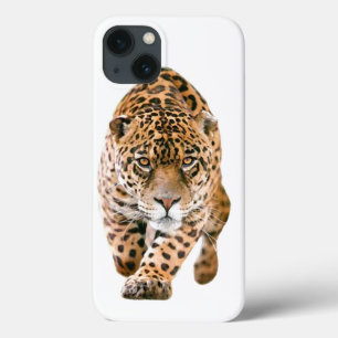 title_seo2 Ojos Jaguares especiales exclusivos