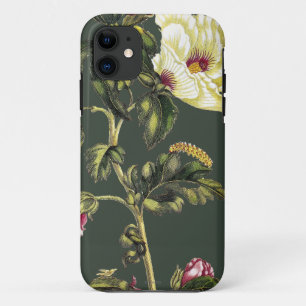 Funda Para iPhone 11 Okra
