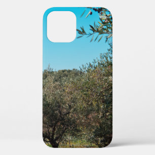 Funda Para iPhone 12 Olivos en el paisaje de Apulia en otoño. ag