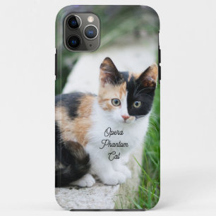 Funda Para iPhone 11 Pro Max Opera Gato fantasma