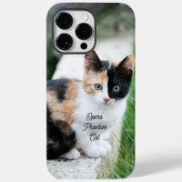 Opera Gato fantasma
