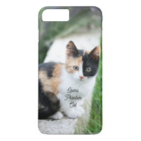 Opera Gato fantasma