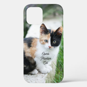 Funda Para iPhone 12 Opera Gato fantasma