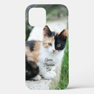 Funda Para iPhone 12 Pro Opera Gato fantasma