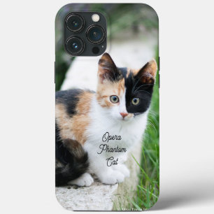 Funda Para iPhone 13 Pro Max Opera Gato fantasma
