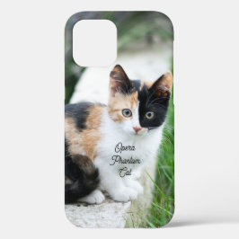 Funda Para iPhone 12 Opera Phantom Cat