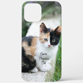 title_seo2 Opera Phantom Cat