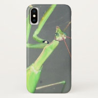 Orando a Mantis