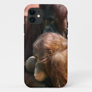 FUNDA PARA iPhone 11 ORANGUTANOS