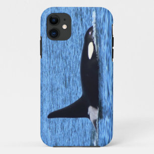 Funda Para iPhone 11 Orca Blackberry