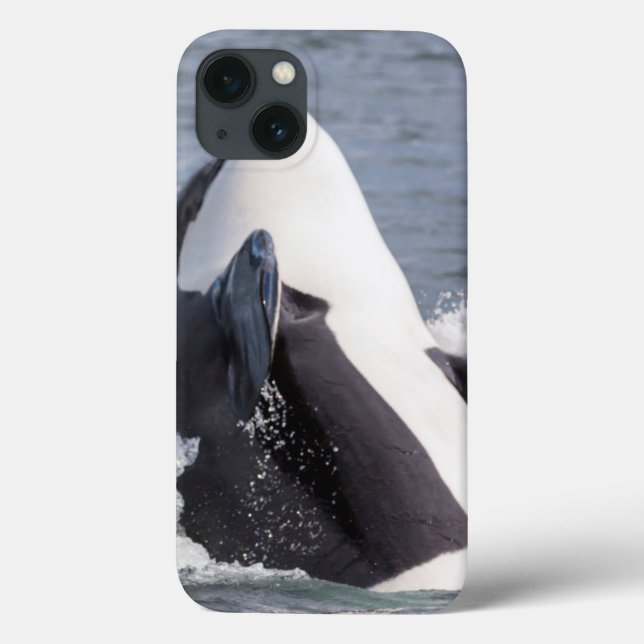 Funda De Case-Mate Para iPhone Orca saltando fuera del agua (Reverso)