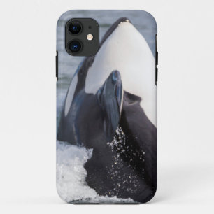 Funda Para iPhone 11 Orca saltando fuera del agua