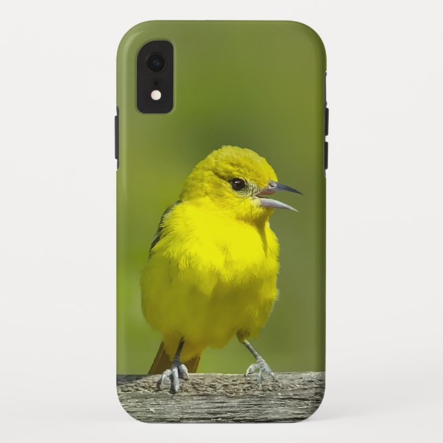 Funda De Case-Mate Para iPhone Orchard Oriole - Fotografía Original (Reverso)