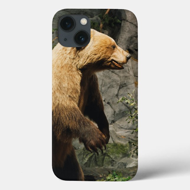 Funda De Case-Mate Para iPhone Orgullo (Reverso)