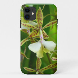 Funda Para iPhone 11 Orquid amarillo