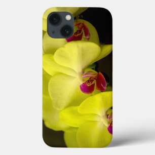 Funda Para iPhone 13 Orquídea amarilla - estuche para iPad