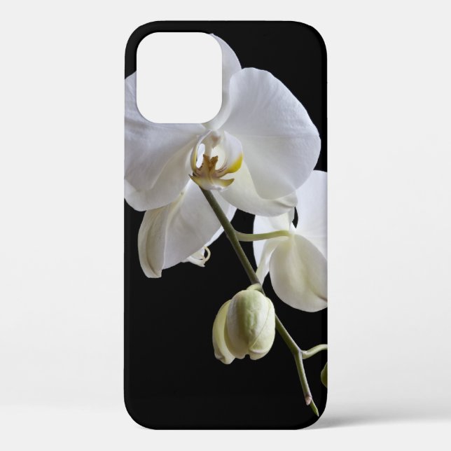 Funda De Case-Mate Para iPhone Orquídea de falaenopsis blanca sobre negro (Reverso )