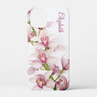 title_seo2 Orquídea Orquídea Rosa