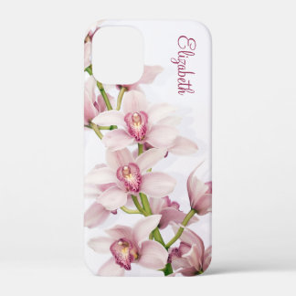 title_seo2 Orquídea Orquídea Rosa