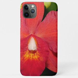 Funda Para iPhone 11 Pro Max Orquídea roja brillante