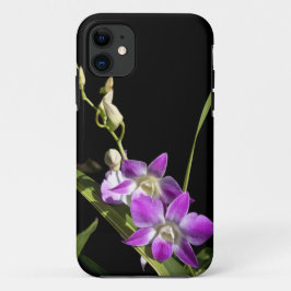 title_seo2 Orquídeas