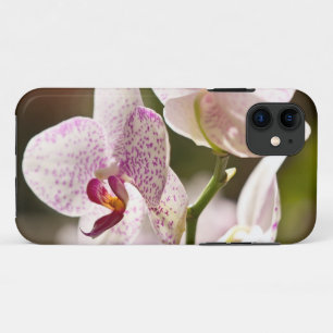 Funda Para iPhone 11 orquídeas de Shirley Taylor
