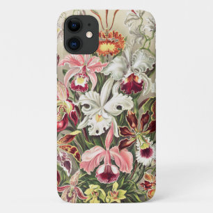 Funda Para iPhone 11 Orquídeas, Orquídea Denusblumen, por Ernst Haeck