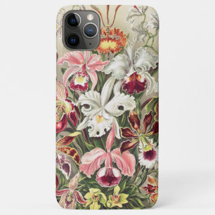 Funda Para iPhone 11 Pro Max Orquídeas, Orquídea Denusblumen, por Ernst Haeckel